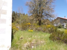 Dpt Lozère (48), à vendre ROCLES Idéal investisseur terrain viabilisé 1078m² environ.