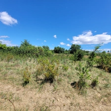 Allègres les Fumade (30) terrain à bâtir d'une superficie de 550m2 environ.