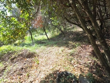 Terrain à vendre  ALES (30), secteur la loubiere sud, très beau terrain à bâtir 1840m² dont environ 750 m² aménageable.