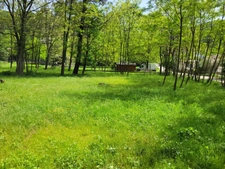 PEYREMALE (30) terrain à bâtir viabilisation en bordure 3500m2 environ.