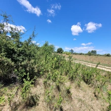 Allègres les Fumade (30) terrain à bâtir d'une superficie de 550m2 environ.