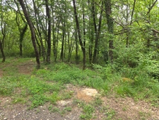 MEYRANNES (30) A vendre terrain d'une superficie de 9849m2 dont 868m2 à bâtir borné récemment et châtaigneraie.
