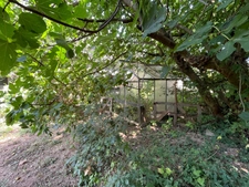 Dpt Gard (30), à vendre CENDRAS maison 71m2 et terrain 3300m2 environ.