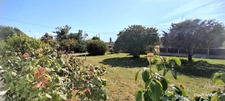 Charmante maison de plain-pied 4 chambres sur beau terrain arboré de 1 450 m²