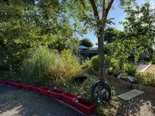 BIGANOS – Sought-after VIGNEAU district – Elegant 190 sq m property on a magnificent 2,370 sq m landscaped plot with swimming pool, outbuilding and double garage