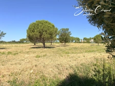 Terrain à vendre de 836m2 ALIGNAN DU VENT (34)