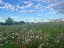 Land for sale in Fontvieille (13)