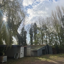 Local/Bureau/Stockage à vendre BAISIEUX (59)