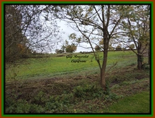 PROPERTY FOR SALE COMPRISING A HOUSE, A BARN, AND A LARGE PLOT OF LAND