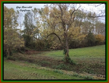 PROPERTY FOR SALE COMPRISING A HOUSE, A BARN, AND A LARGE PLOT OF LAND