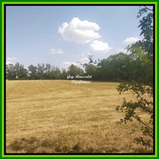 Building plot of 11,900 m2 for sale in SEMUR EN AUXOIS (21)