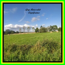 " PRIX AJUSTES "                 Terrain à vendre  Parcelle Numéro : 1                     COURCELLES LES SEMUR (21)