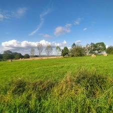 Bâtiments ou Locaux Artisanaux à vendre COURCELLES LES SEMUR (21)