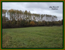 PROPERTY FOR SALE COMPRISING A HOUSE, A BARN, AND A LARGE PLOT OF LAND