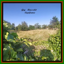Terrain à vendre N°1  proche de VIC DE CHASSENAY  (21)