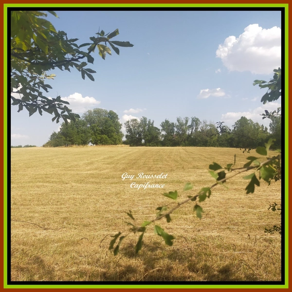 Terrain constructible à vendre  de 4809 m2 SEMUR EN AUXOIS (21)