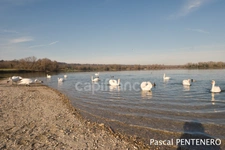 A vendre VAULX EN VELIN appartement T4 traversant