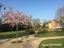 T2 47 m² – Grande terrasse 22 m² + balcon – Parking + garage – Résidence avec piscine – Vourles