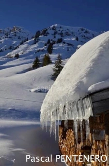 Terrain avec chalet à terminer, vue Dents du Midi
