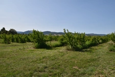 SOUCIEU-EN-JARREST – Plus qu'une maison, un parc à vivre