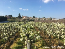 T2 47 m² – Grande terrasse 22 m² + balcon – Parking + garage – Résidence avec piscine – Vourles