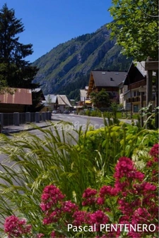 Terrain avec chalet à terminer, vue Dents du Midi