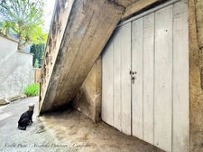 CÉBAZAT HYPERCENTRE – MAISON DE CARACTÈRE + T2 INDÉPENDANT – 183 m² HABITABLES ENV. – DÉPENDANCES – EXTÉRIEURS