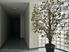 Appartement T3 dans résidence sécurisée avec terrasse, garage double, cave - CLERMONT FERRAND (63) - Secteur Saint Alyre