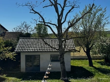 Maison à vendre 8 pièces SAINT BONNET PRES RIOM (63)