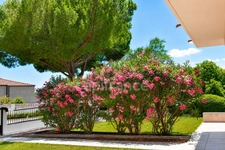 CANET-EN-ROUSSILLON – Villa 215 m² – 5 chambres – 2 espaces de vie – Jardin – Terrasses – Garage