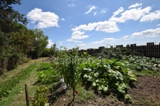 Property - a main house - 5 guest rooms - 2 rental apartments on over 1 hectare in SAINTE BAZEILLE (47)