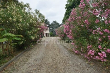 Maison 4 chambres, 1 bureau, dépendances, terrain clos 22 694m2 à MEILHAN SUR GARONNE (47)
