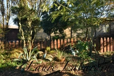 Property - a main house - 5 guest rooms - 2 rental apartments on over 1 hectare in SAINTE BAZEILLE (47)