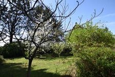 House of 144m2 - 3 bedrooms - veranda - swimming pool - garden - garage in TOMBEBOEUF (47)