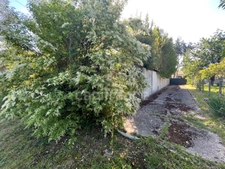 Maison de charme  – 166 m² – 2 chambres – combles aménageables - Piscine - Emplacement idéal à Marmande
