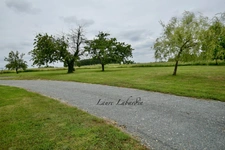 House of 300m2, 5 bedrooms, outbuildings in CAUMONT-SUR-GARONNE (47)