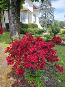 Maison Art Déco au coeur de Dardilly