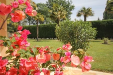 Dpt Loire Atlantique (44), for sale LE CELLIER/MAUVES SUR LOIRE-house P7 of 240 m²-swimming pool