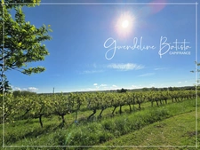 Maison plain-pied 98m² - 3 Chambres - Terrain 1675m² - SAINT-NEXANS 