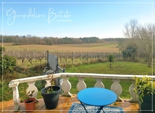 Character house with a 200m² gîte - 1485m² plot with salt water pool - Unobstructed view of the vineyards