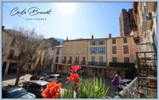 Ensemble immobilier de charme avec garage, patio et T2 indépendant - Arles sur Tech (66150)