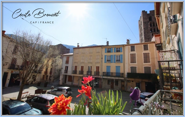 Ensemble immobilier de charme avec garage, patio et T2 indépendant - Arles sur Tech (66150)