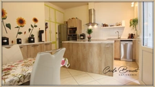 Charming property complex with garage, patio and independent 2-room apartment - Arles sur Tech (66150)