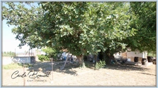 Maison bourgeoise avec jardin et dépendance au cœur du village de Ponteilla (66300)