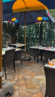 Restaurant- Terrasse- LYON 7EME  (69)