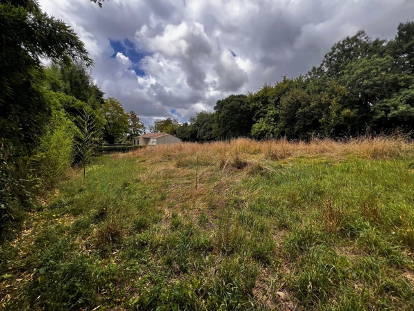 Terrain à vendre  GENOUILLE (17)
