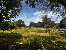 Property of 3 houses in a bucolic setting 20 minutes from LA ROCHELLE 