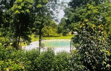 Property of 3 houses in a bucolic setting 20 minutes from LA ROCHELLE 
