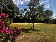 Property of 3 houses in a bucolic setting 20 minutes from LA ROCHELLE 