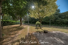 🏡 PAVILLON DE PLAIN-PIED 🌳 AVEC PRÈS D’1 HECTARE DE TERRAIN !